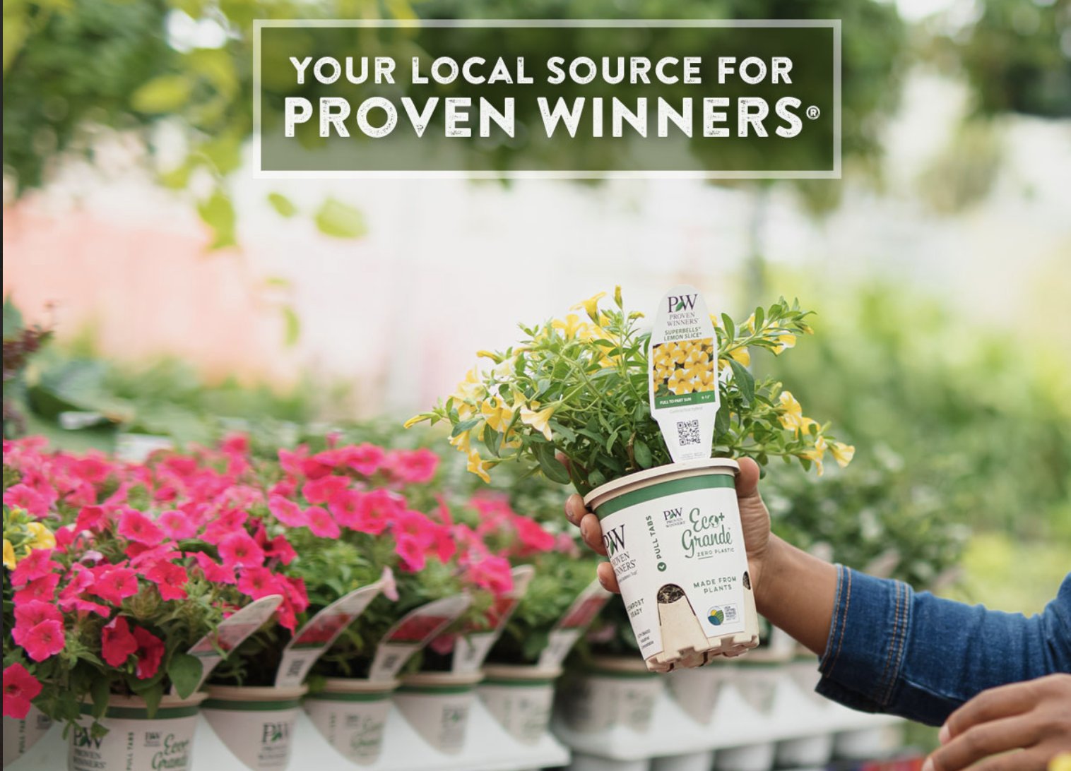 Proven Winners - Annuals