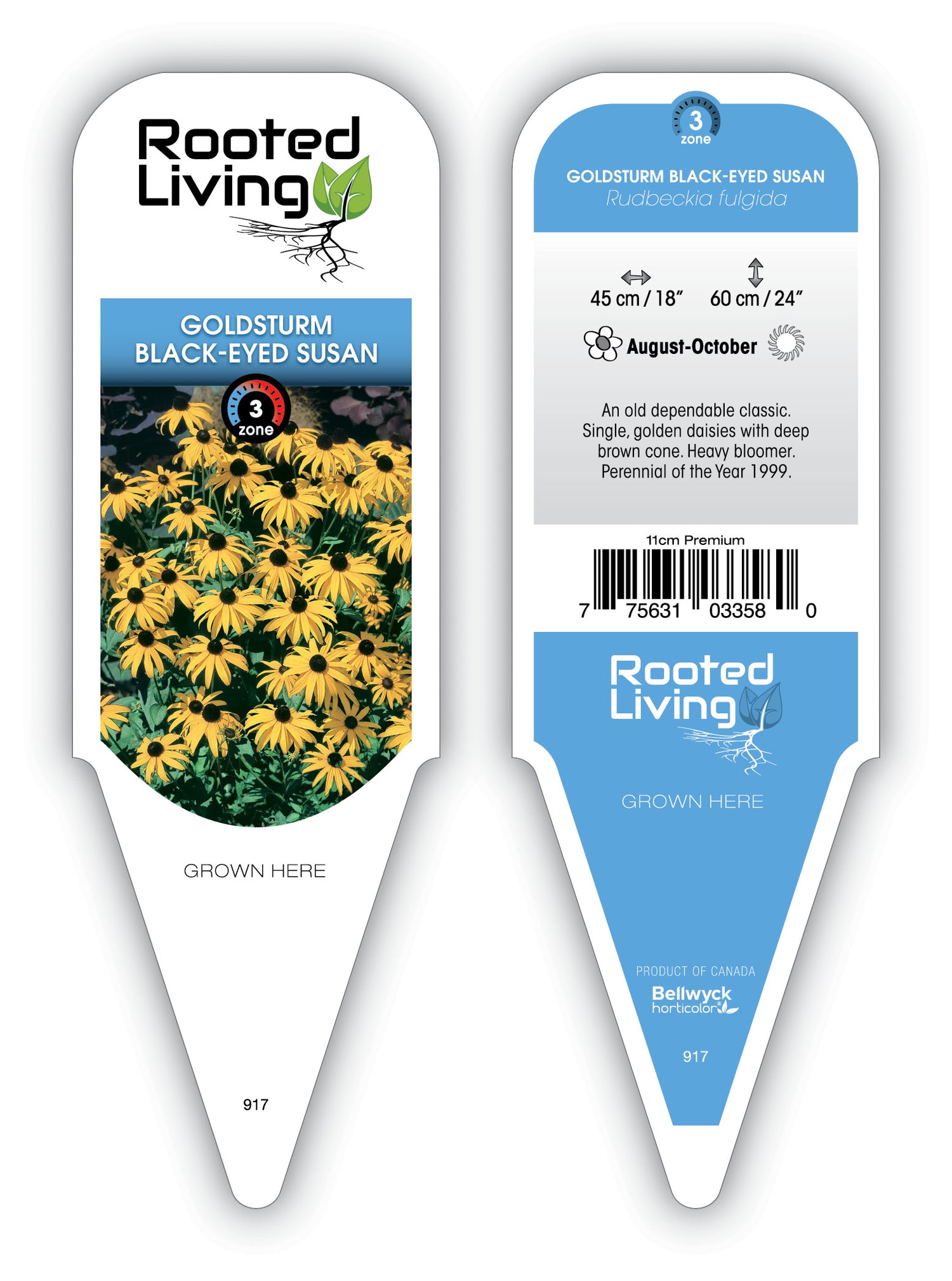 Rudbeckia 'Goldsturm’