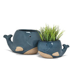 Blue Whale Planters