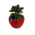 Strawberry Pot 4