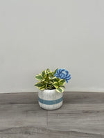 Bouy pot w/ plant