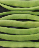 Campo de' Fiori Beans
