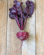 Bull's Blood Beet