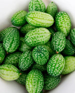 Cucamelon Cucumber