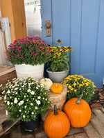 Fall Porch Bundle #1