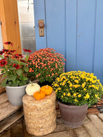 Fall Porch Bundle #2