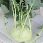 Cabbage 'Kholrabi'