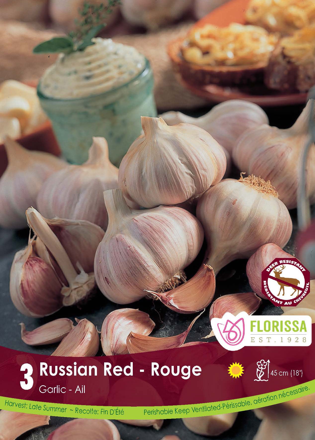 Russian Red Garlic Bulbs
