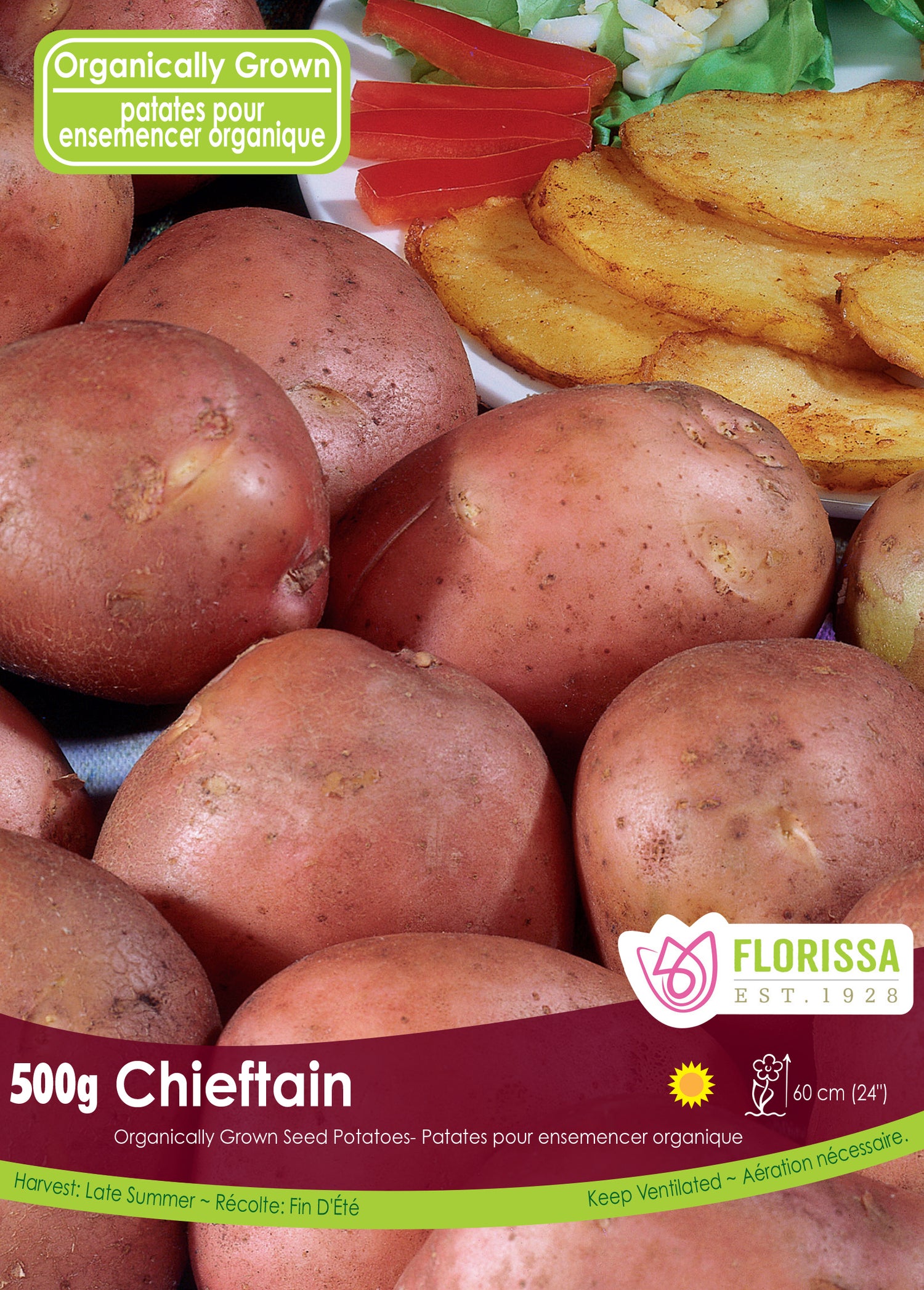 Chieftan Seed Potato