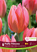 Tulip 'Pretty Princess'
