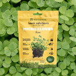 Micro Clover - West Coast Seeds