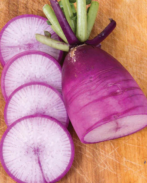Mini Purple Daikon - West Coast Seeds