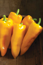 Escamillo F1 Organic Pepper