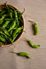 Shishima F1 Pepper