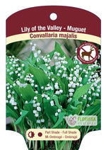 Convallaria 'Lily of the Valley'