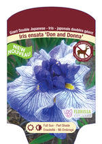 Bearded Iris Germanica 'Don & Donna'