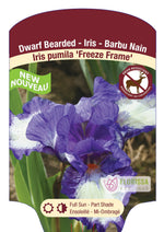 Bearded Iris Germanica 'Double Freeze Frame'