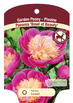 Peony 'Bowl of Beauty'
