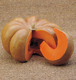 Musquee d’Hiver de Provence Certified Organic Pumpkin
