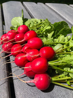 Raxe Certified Organic Radish