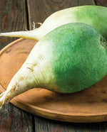 Wasabi Radish