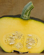 Burgess Buttercup Squash