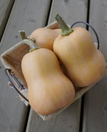 Butterbaby Certified Organic Squash