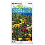 All Purpose Wildflower Mix Value Size