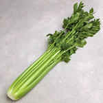 Celery 'Tango'
