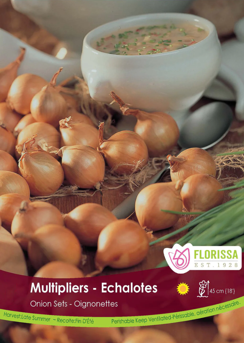 Multiplier Onion sets