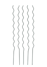Tomato Spiral