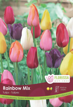 Tulip 'Rainbow Mix'