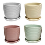 Spring Essentials Pot 5.5