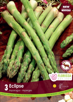 Asparagus 'Eclipse '