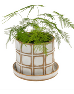 Calder Pot w/Saucer
