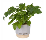 Indaba Pot -Sayings