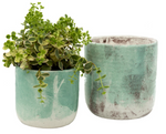 Palette Pots