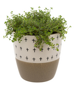 Doodle Pot