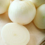 Onion 'Sierra Blanca White'