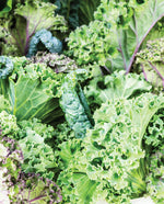 Summer Kale Blend