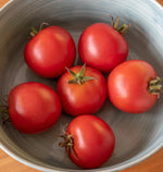 Red Racer Certified Organic Tomato