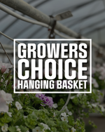 Growers Choice Hanging Baskets & Planters