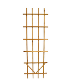 Ladder Trellis