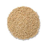White Millet Seeds