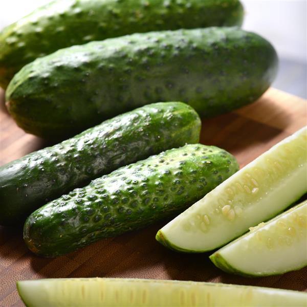Bush Pickle Cucumbers