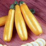 Zucchini 'Gold'
