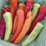 Hot Pepper 'Hungarian Hot Wax'