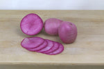 Mini Red Radish