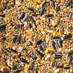 Birdseed Songbird Delight Mixture