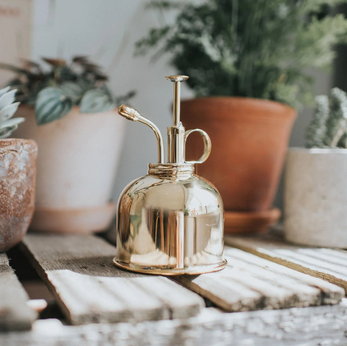 House Plant Accessories